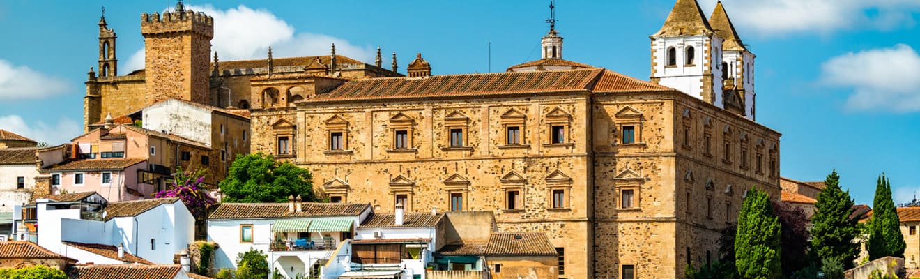 Vending en Extremadura 1 vending_extremadura